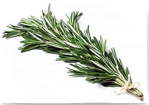 rosemary