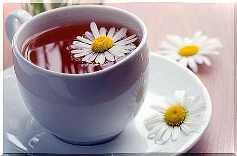 Camomile tea