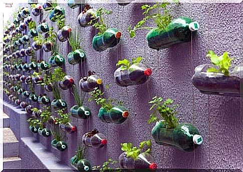 Re-use of plastic bottles as bird feeders