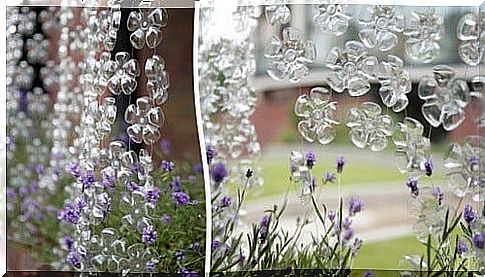 Reusing plastic bottles as a hanging garden