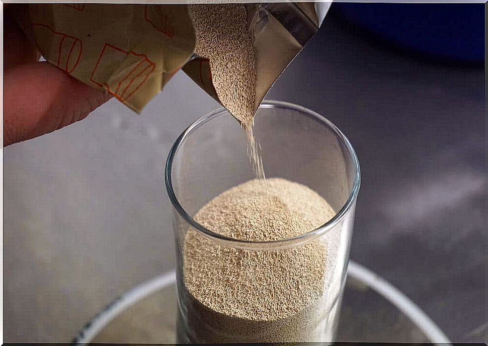 Brewer's yeast is poured into a glass