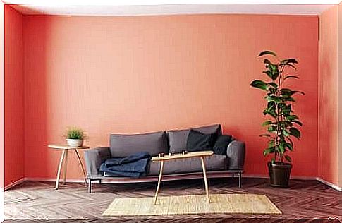 5 color trends for interior decoration