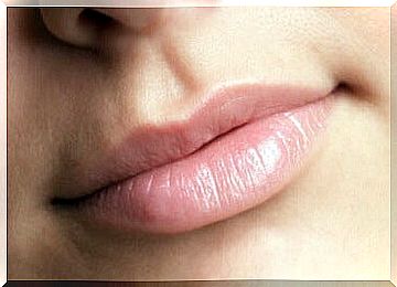 Lips