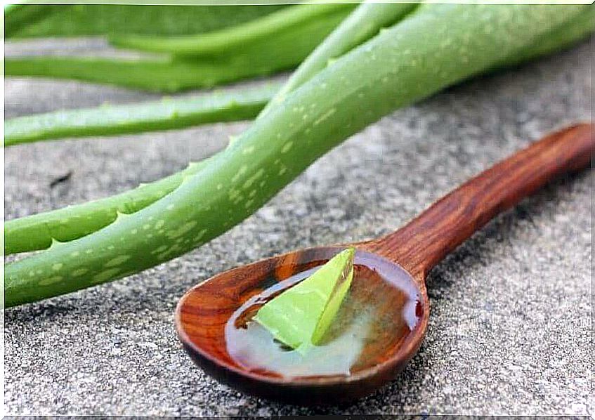 Aloe Vera as a natural remedy for droopy eyelids