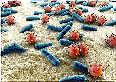 Illustration of the intestinal flora