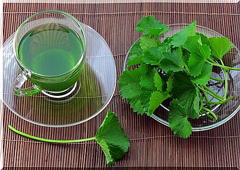 Detoxifying teas with celery 