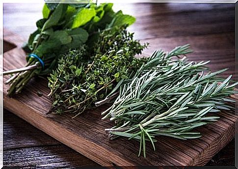 Herbs instead of salt for a low-salt diet