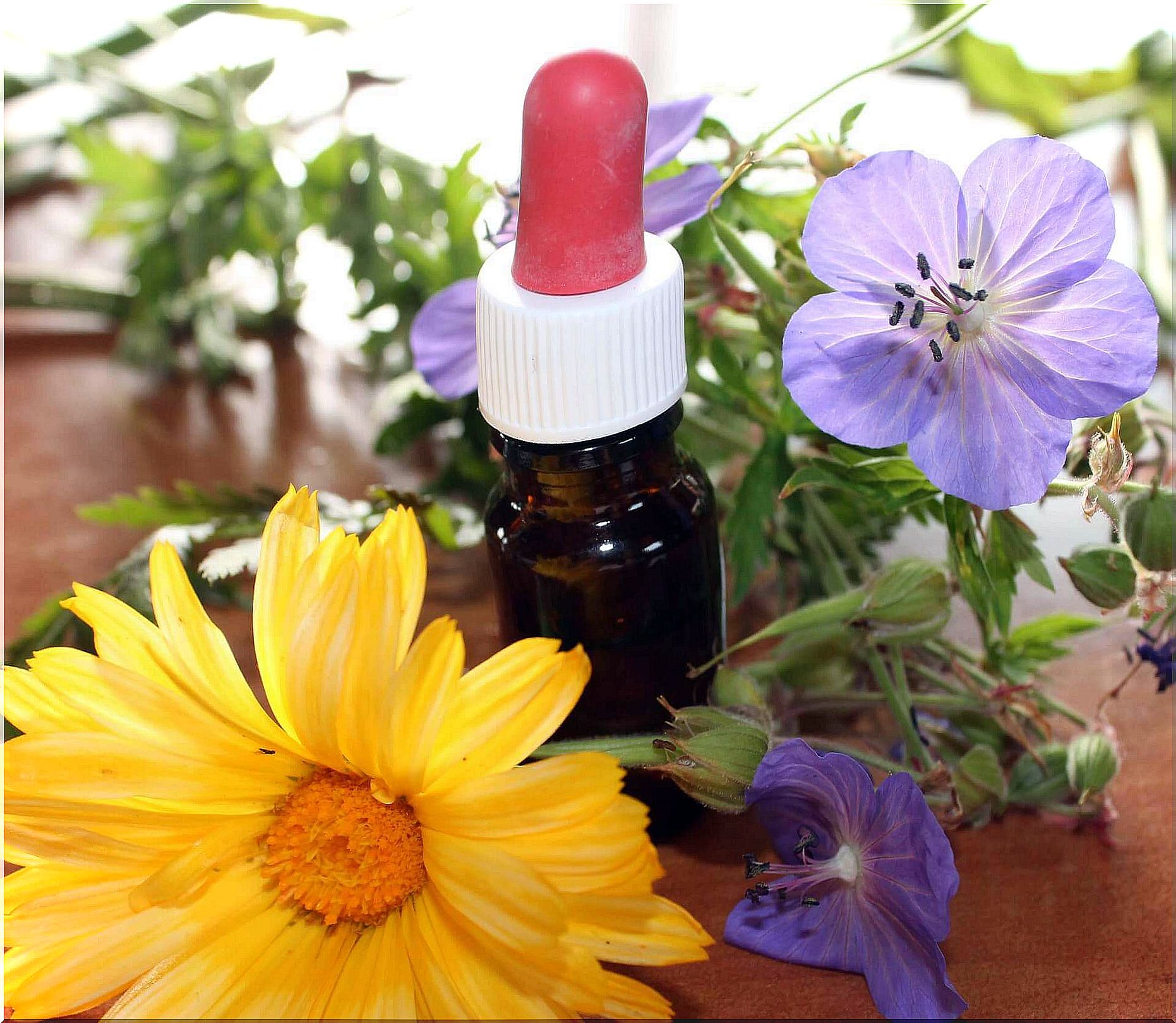 Natural medicine for aromatherapy