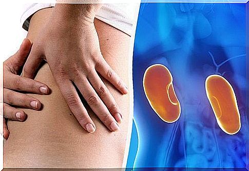 8 indications of a kidney disorder