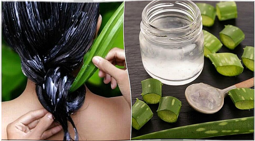 Aloe vera in hair care