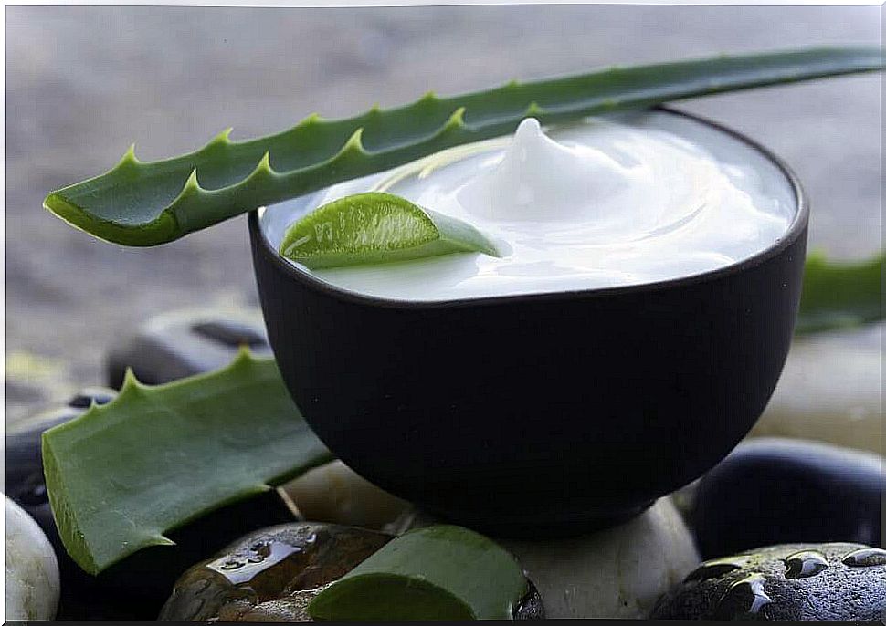 Aloe vera in hair care