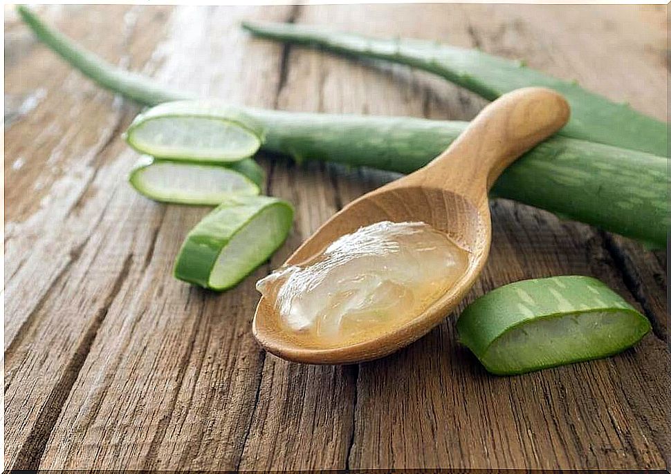 Aloe vera in hair care