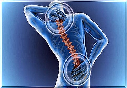 Back pain: what to do