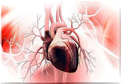 Lemon juice with chia seeds for a healthy cardiovascular system 