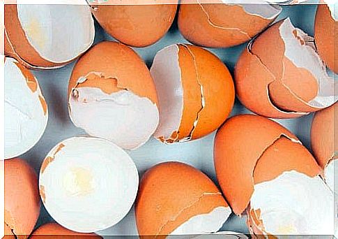 Eggshells: 17 Amazing Uses