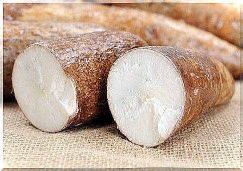 Fight arthritis by eating yucca