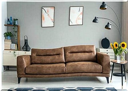 Brown sofa with two pictures on the wall