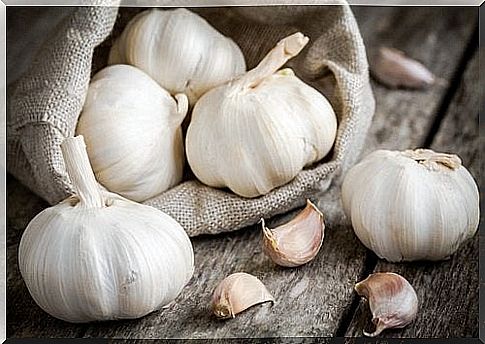 clove-of-garlic-bulb