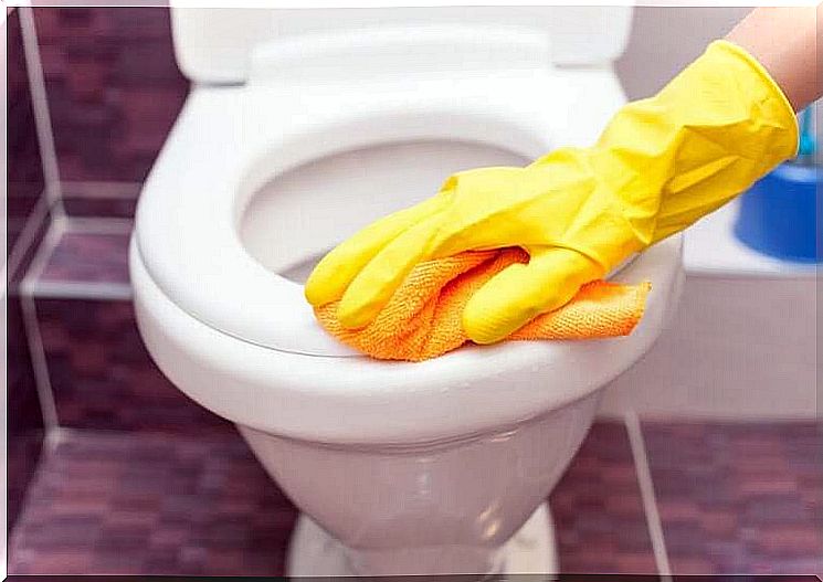 Clean and disinfect the toilet