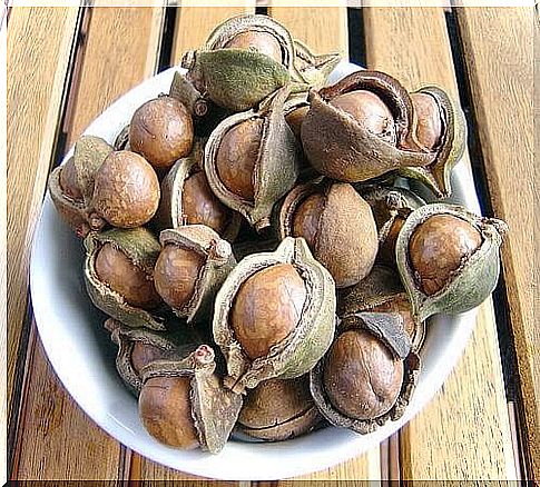 Macademia nut