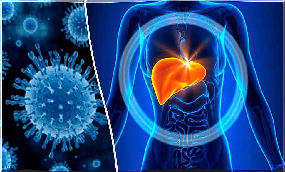 Liver metabolism and liver function tests