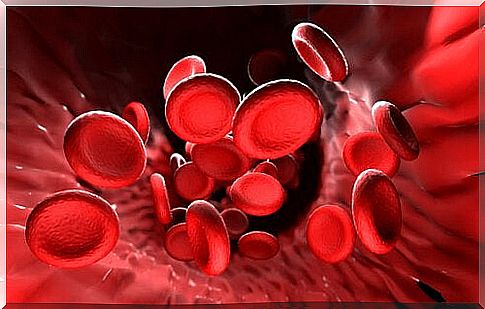 Red blood cells form blood clots