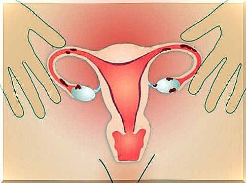 Female reproductive organs, blood clots in menstruation