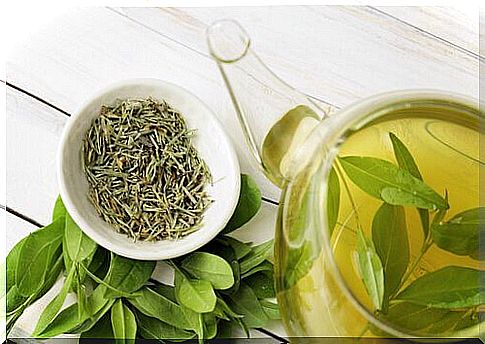 Green tea helps with inflammation of the liver