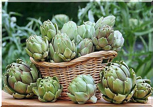 Artichokes help with inflammation of the liver