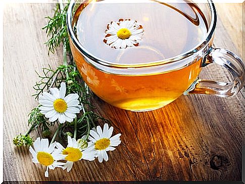 Camomile tea