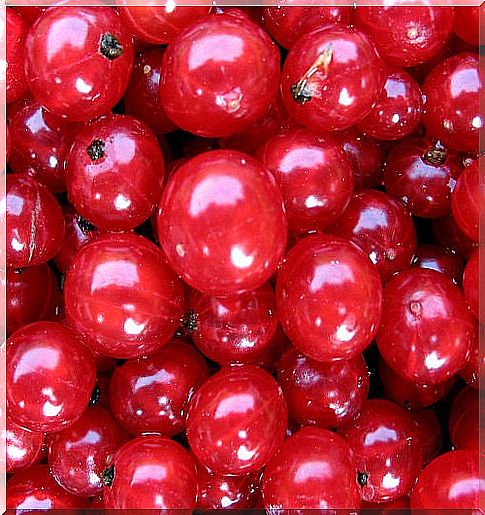 Currants for banana bread