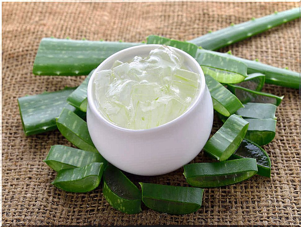 Aloe Vera used to treat hemorrhoids