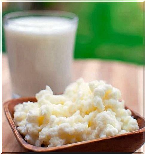 Kefir grains as probiotics