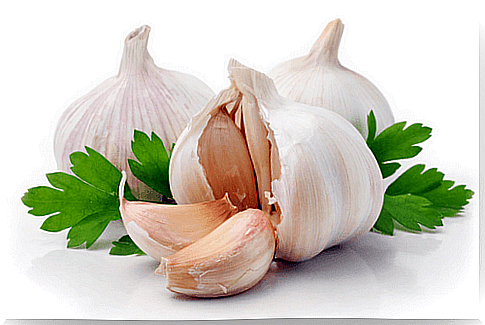 clove of garlic