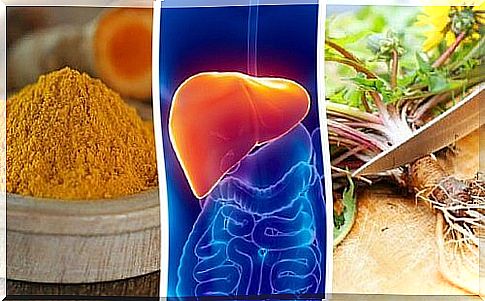 The 6 best herbs and spices to protect the liver