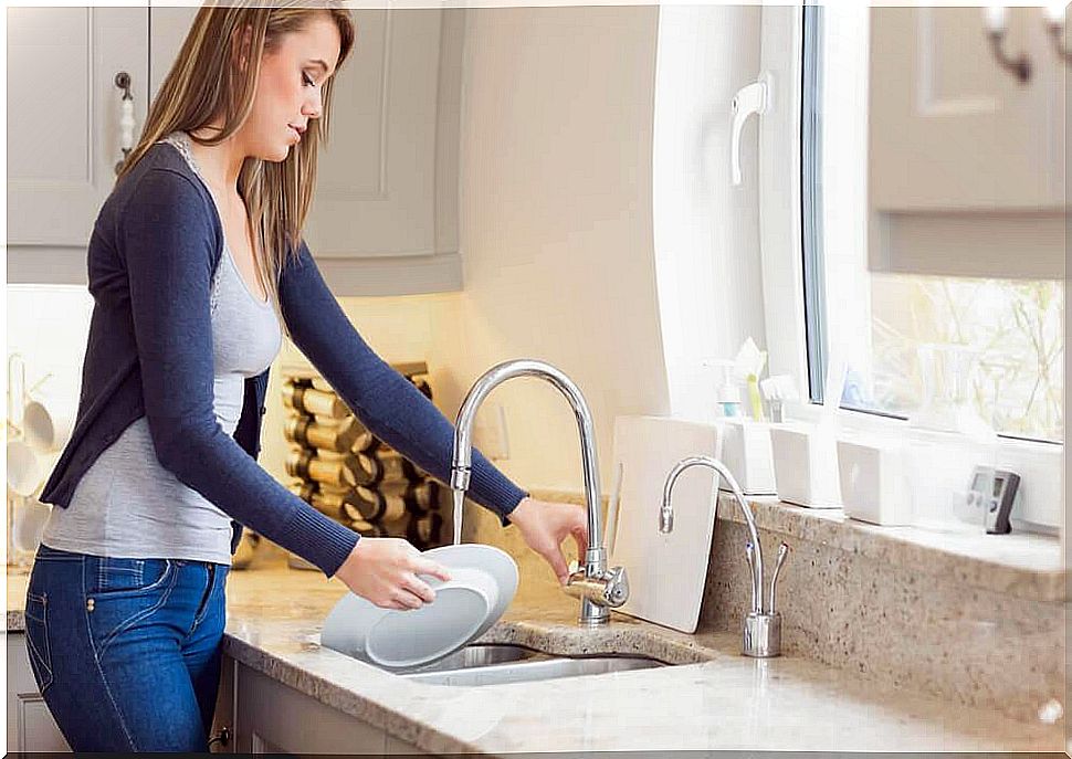 Woman washes a plate