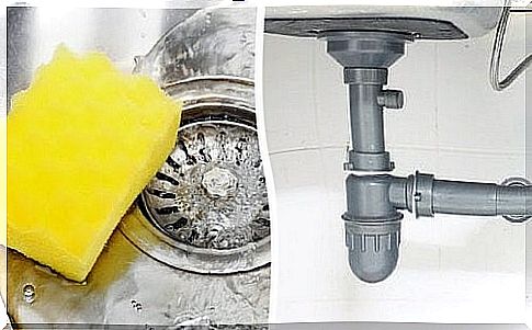 Keep the drains and kitchen perfectly clean