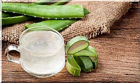 Aloe vera for a healthy scalp