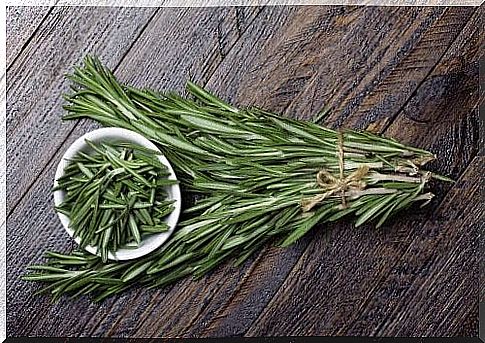 Rosemary for a healthy scalp