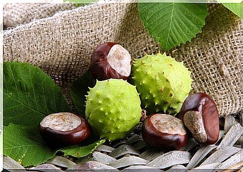 Chestnuts